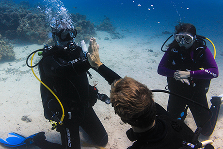 SSI SCUBA DIVER 